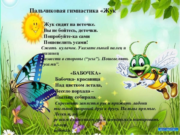 Насекомые для дошкольников