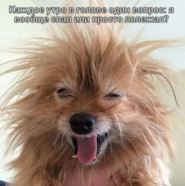 Открытки отличного отдыха на природе