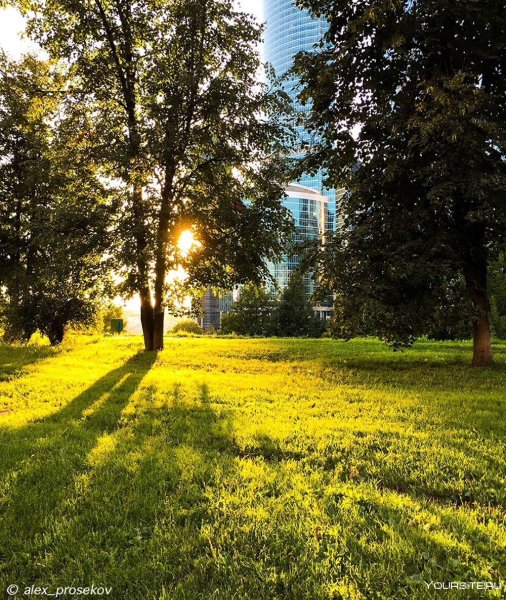 Яркое солнце на небе