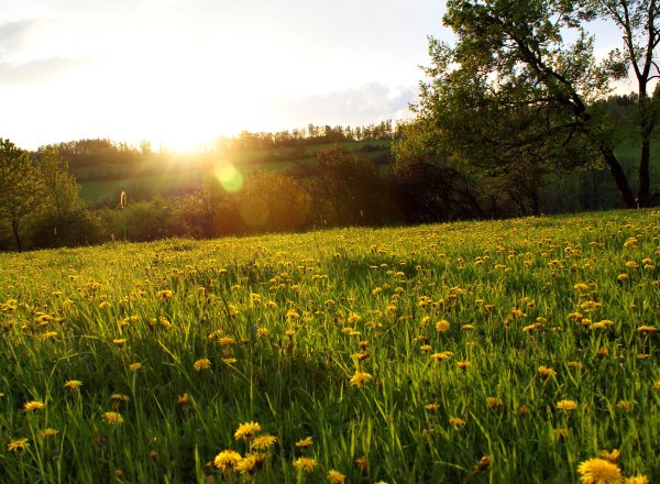 Красота русской природы
