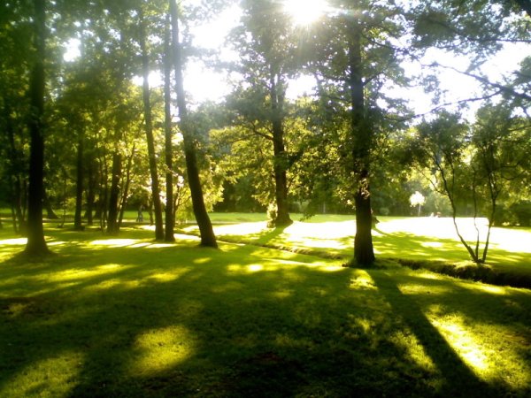 Природа солнце