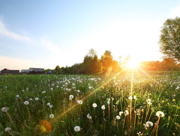 Голубое небо и солнце
