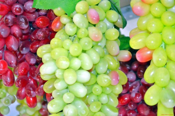 Виноград (ягода)