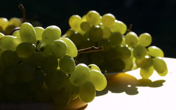 Виноград Каберне Совиньон