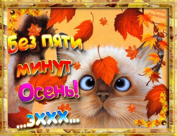 Прощай лето Здравствуй осень