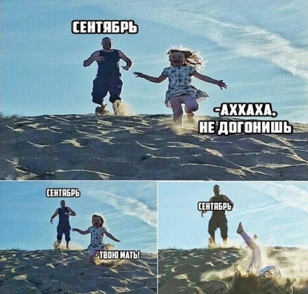 Смешные мемы про лето