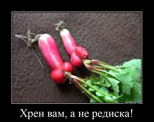 Редиска нехороший человек