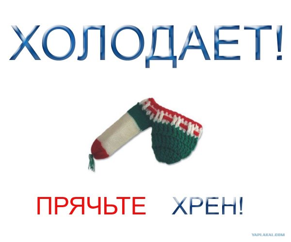 Хрен вам картинки