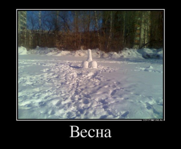Первый день весны прикол