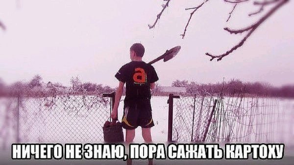 Пора сажать картошку