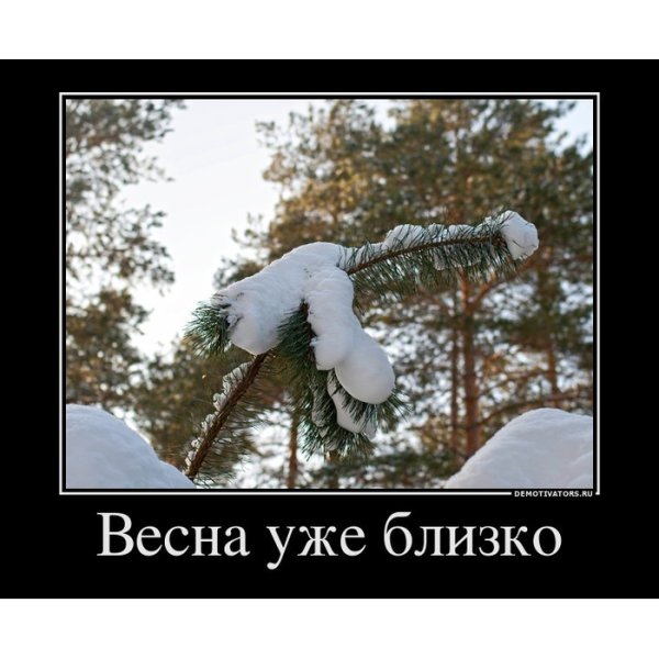 Приколы про весну