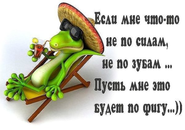 Смешные статусы для ватсапа