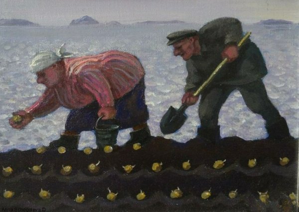 Копка картошки иллюстрации