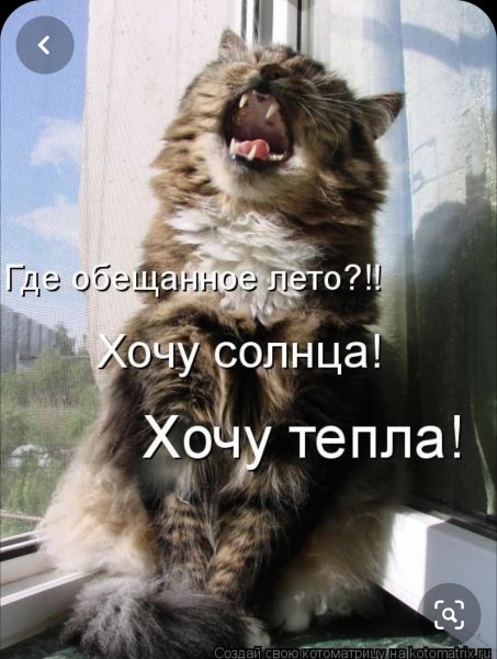 Хочется солнышка и тепла