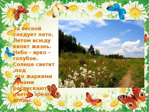 Лето описание