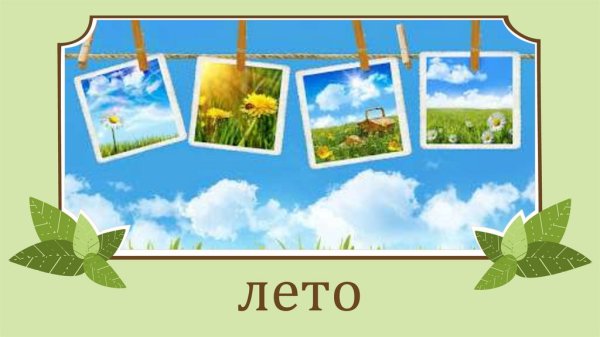 В гостях у лета