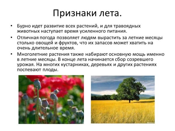Признаки лето