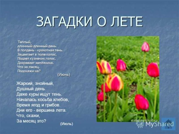 Загадки о лете