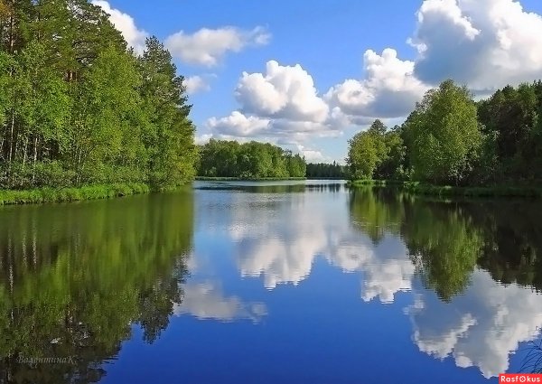 Лесное озеро Великие Луки