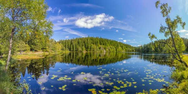 Озеро панорама