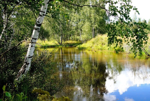 Природные водоемы
