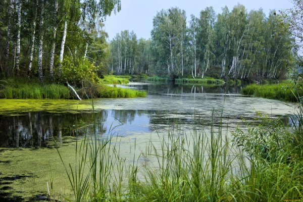 Озеро Березка Нижегородская
