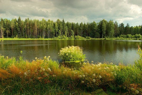 Природа водоем