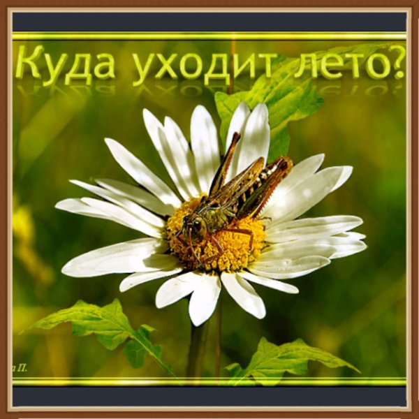 Лето скоро закончится