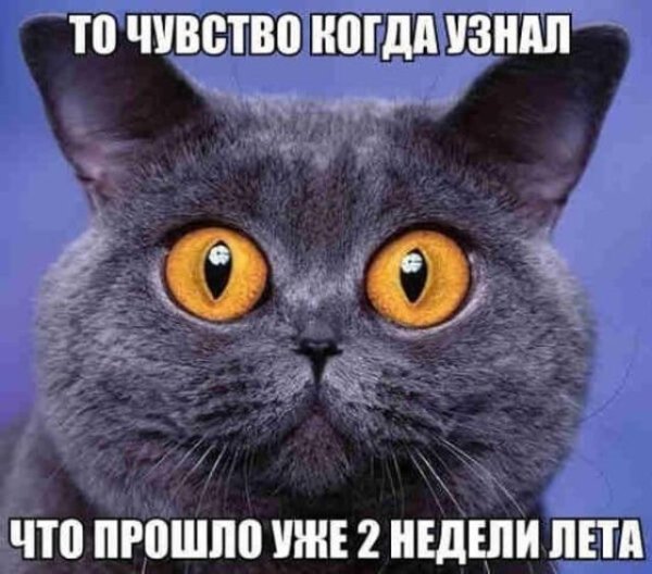 Последний день лета