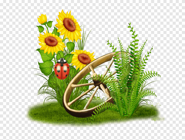 Летний клипарт на прозрачном фоне