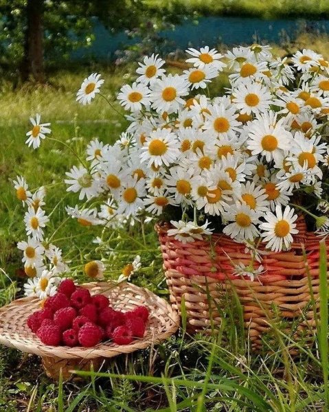 Открытки летнего настроения