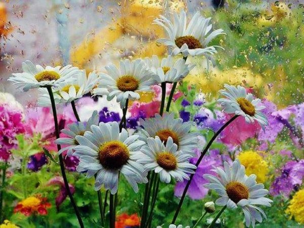 Радостного утра