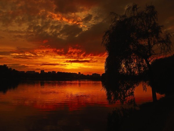 Природа красный вечер