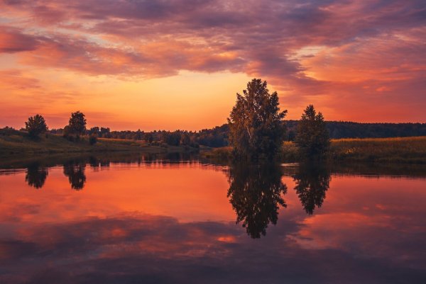 Алый рассвет