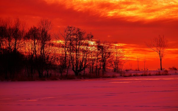 Зимний рассвет