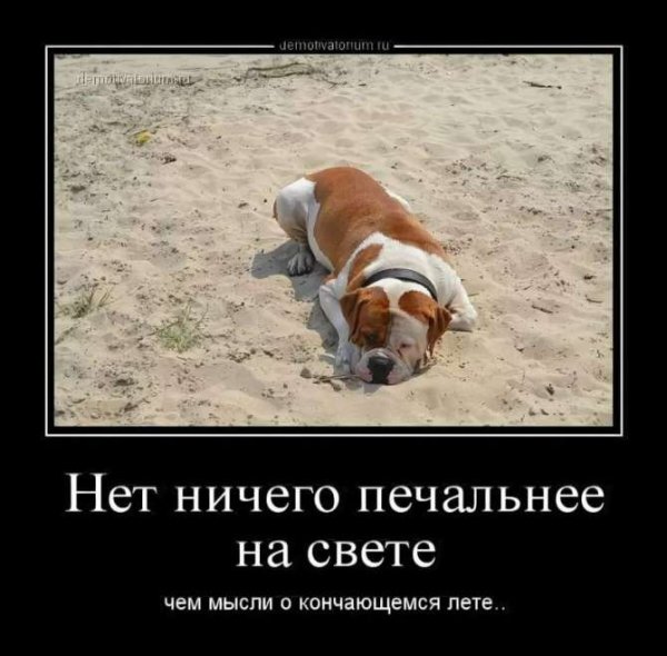 Лето проходит