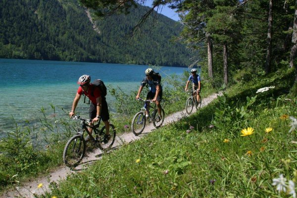 Прогулка на велосипеде