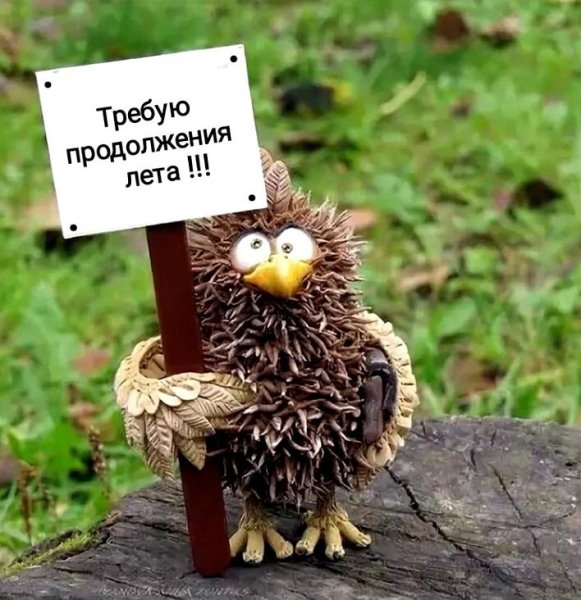 Долой 1 сентября да здравствует