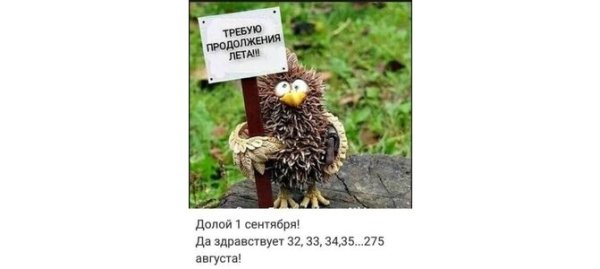 Долой 1 сентября да здравствует 32