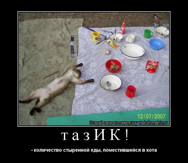 Водка пить земля валяться