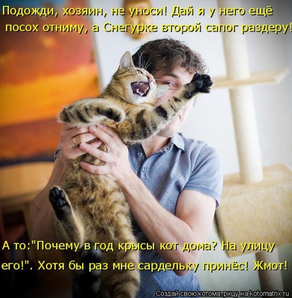 Веселые картинки с комментариями