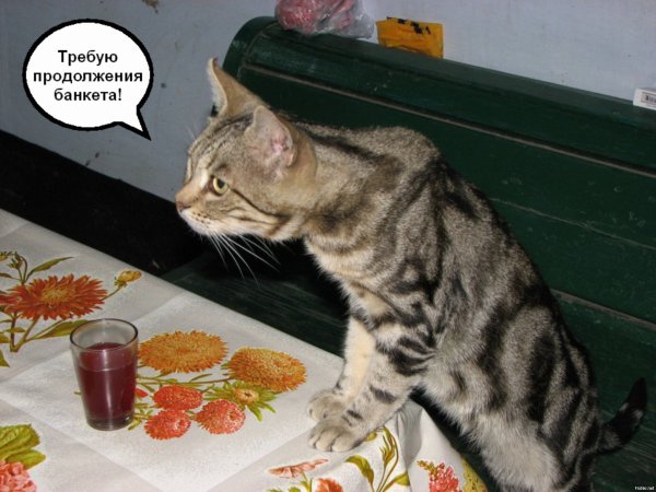 Я требую продолжения банкета