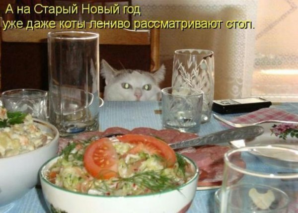 Требую продолжения банкета приколы