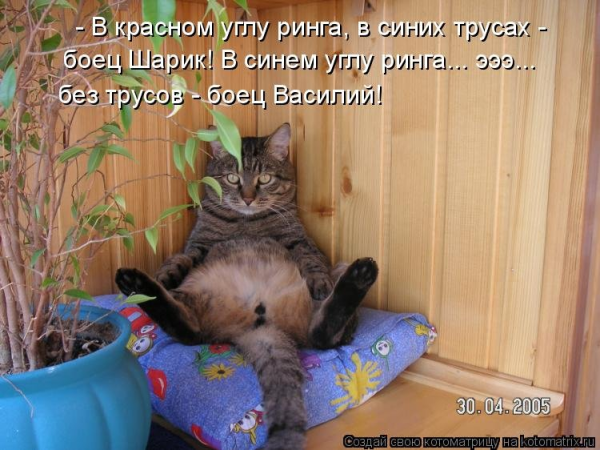 Смешные картинки с подписями