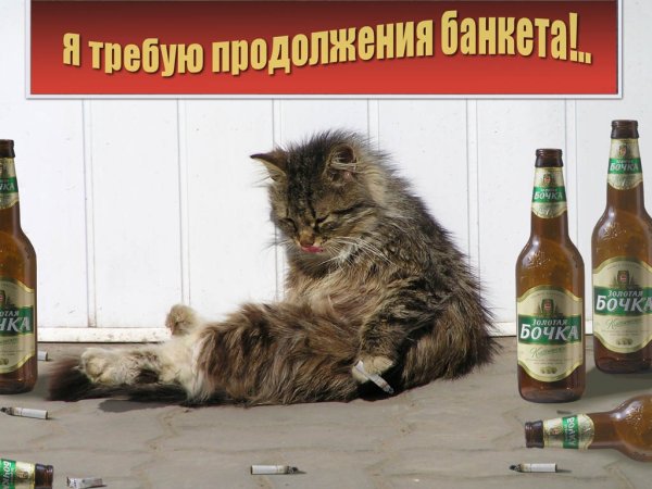 Я требую продолжения банкета картинки