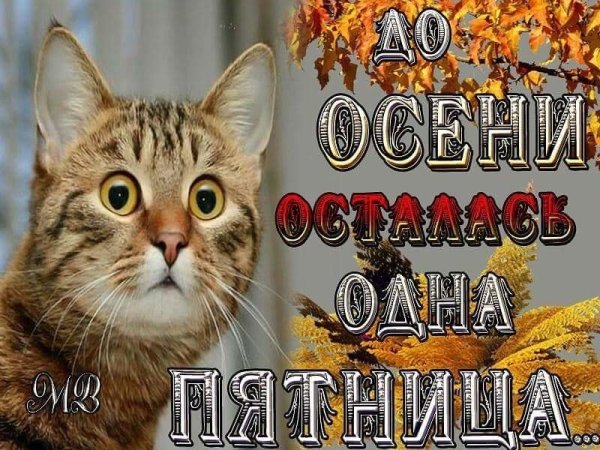 До осени осталась одна пятница