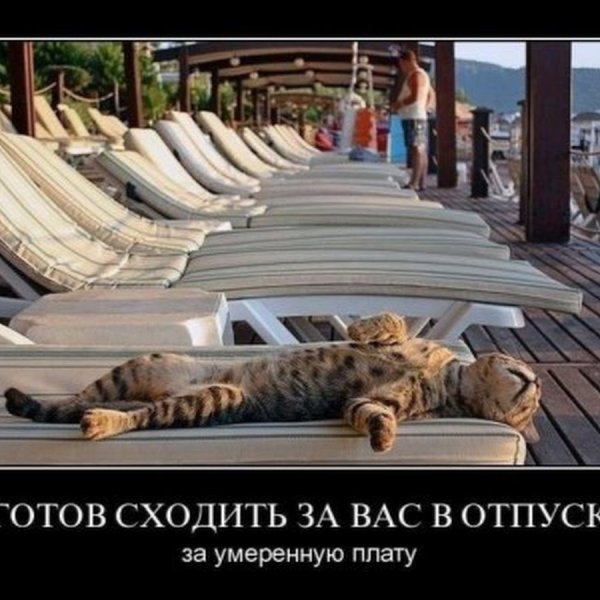 Шутки про отпуск