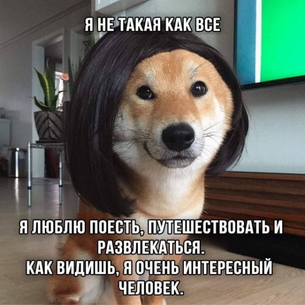 Шутки про отдых