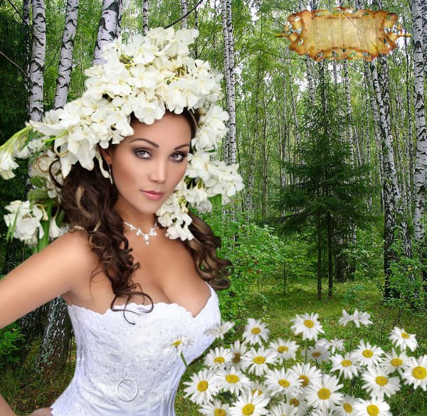 Для вставки лица