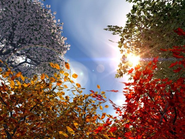 Солнечный осенний пейзаж